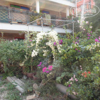 фото из отзыва ID 1147237