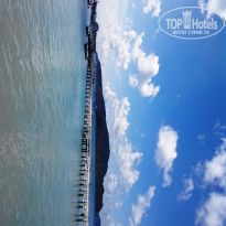 фото из отзыва ID 1147361