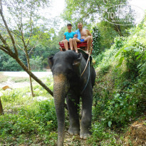 фото из отзыва ID 1147361