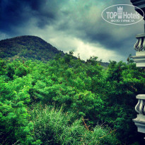 фото из отзыва ID 1147456