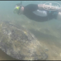 фото из отзыва ID 1145940