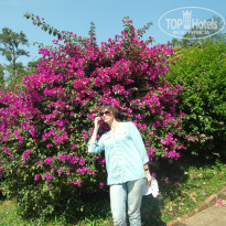 фото из отзыва ID 1145940