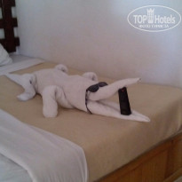 фото из отзыва ID 1148215