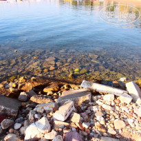 фото из отзыва ID 1148229