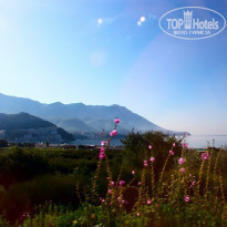 фото из отзыва ID 1148229