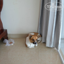 фото из отзыва ID 1147955