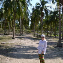 фото из отзыва ID 1147955