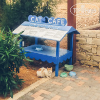 фото из отзыва ID 1148291