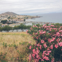 фото из отзыва ID 1148291