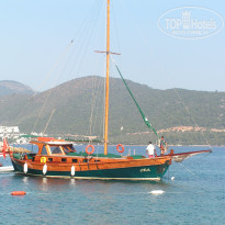 фото из отзыва ID 1148462