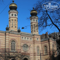 фото из отзыва ID 1148484