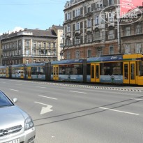 фото из отзыва ID 1148484