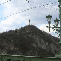 фото из отзыва ID 1148484