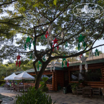 фото из отзыва ID 1148641