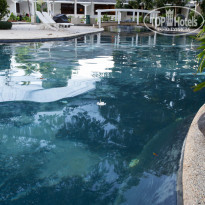 фото из отзыва ID 1148641