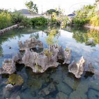 фото из отзыва ID 1148641