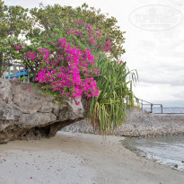 фото из отзыва ID 1148641