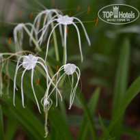 фото из отзыва ID 1148641