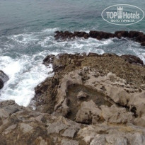 фото из отзыва ID 1148832