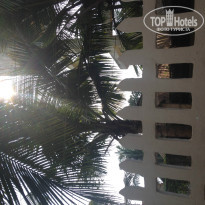 фото из отзыва ID 1148920