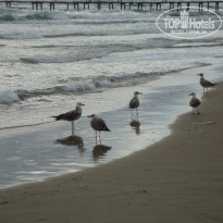 фото из отзыва ID 1149057