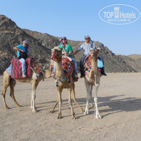 фото из отзыва ID 1149574