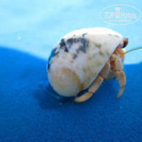 фото из отзыва ID 1149574