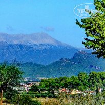 фото из отзыва ID 1146993