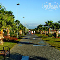 фото из отзыва ID 1146993