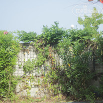 фото из отзыва ID 1149638