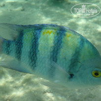 фото из отзыва ID 1149632