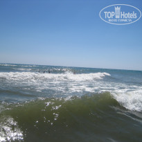 фото из отзыва ID 1149638