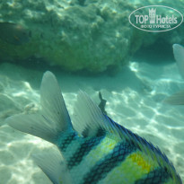 фото из отзыва ID 1149632