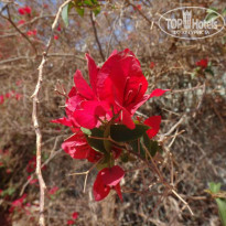 фото из отзыва ID 1149632