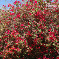 фото из отзыва ID 1149632