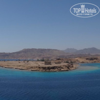 фото из отзыва ID 1149632