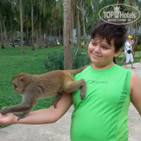 фото из отзыва ID 1149450