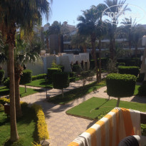 фото из отзыва ID 1147809