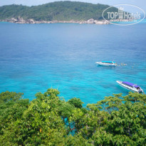 фото из отзыва ID 1140229