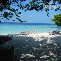 фото из отзыва ID 1147273