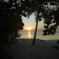 фото из отзыва ID 1147273