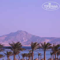 фото из отзыва ID 115242