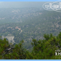 фото из отзыва ID 115478