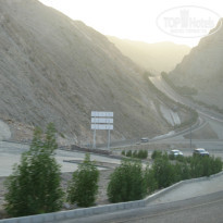 фото из отзыва ID 115540