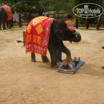 фото из отзыва ID 115672