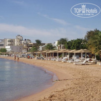 фото из отзыва ID 115869