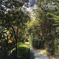 фото из отзыва ID 1150297