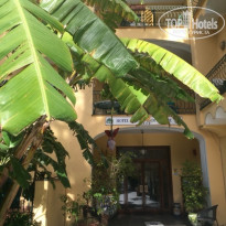 фото из отзыва ID 1150297