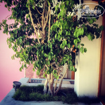 фото из отзыва ID 1150626