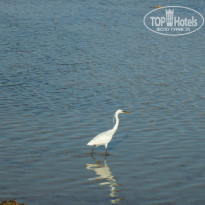 фото из отзыва ID 1150675